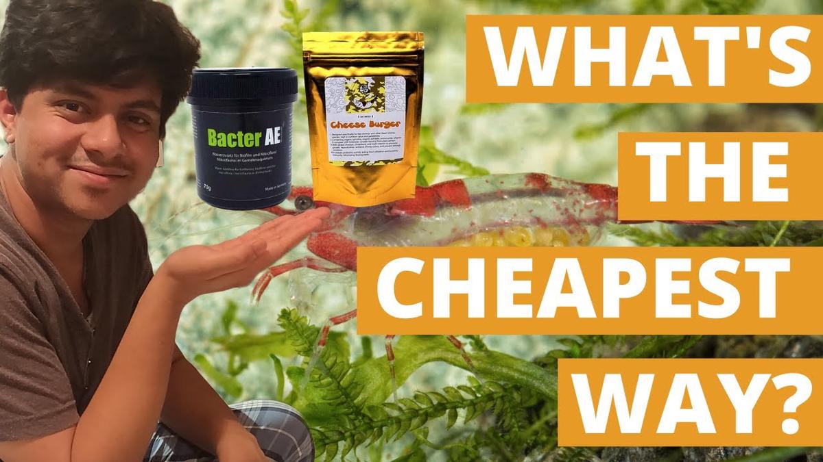 'Video thumbnail for How Much Shrimp Foods Cost?'
