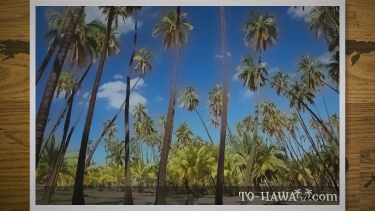'Video thumbnail for Hawaii Travel Guide'