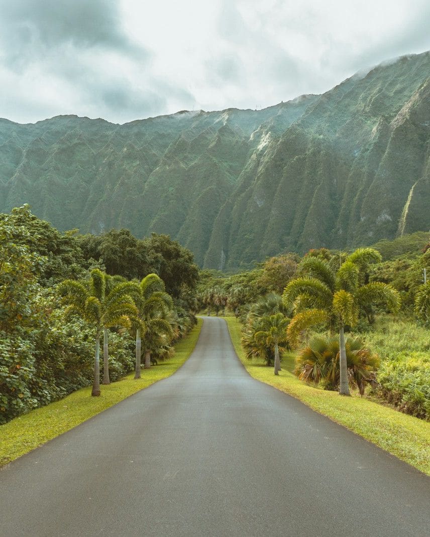 A palm-lined road running toward the steep green cliffs of the Koʻolau range
