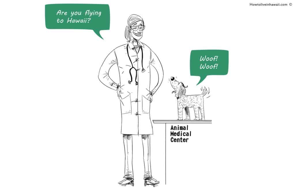 Pet Health Certificate Best Guide To Bring Pets to Hawaii