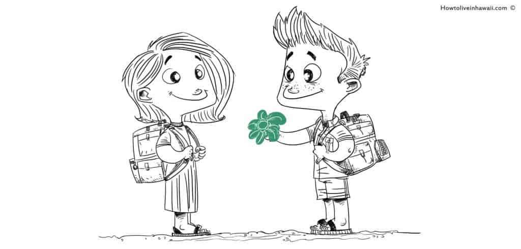 Public Schools In Hawaii. Grades PreK-12