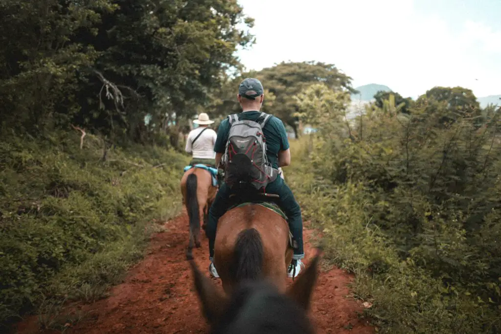 Horse Riding Tours in Hawaii
