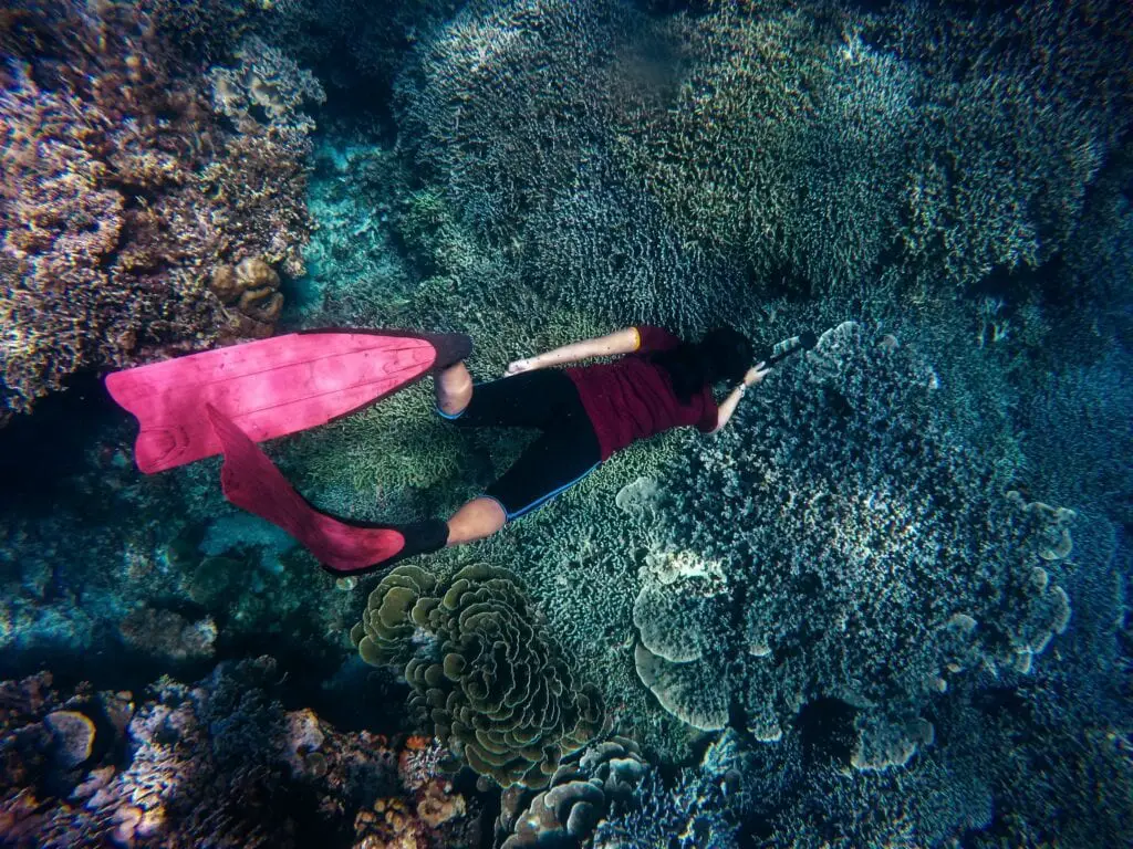 Best snorkeling locations in Hawaii: the Big Island