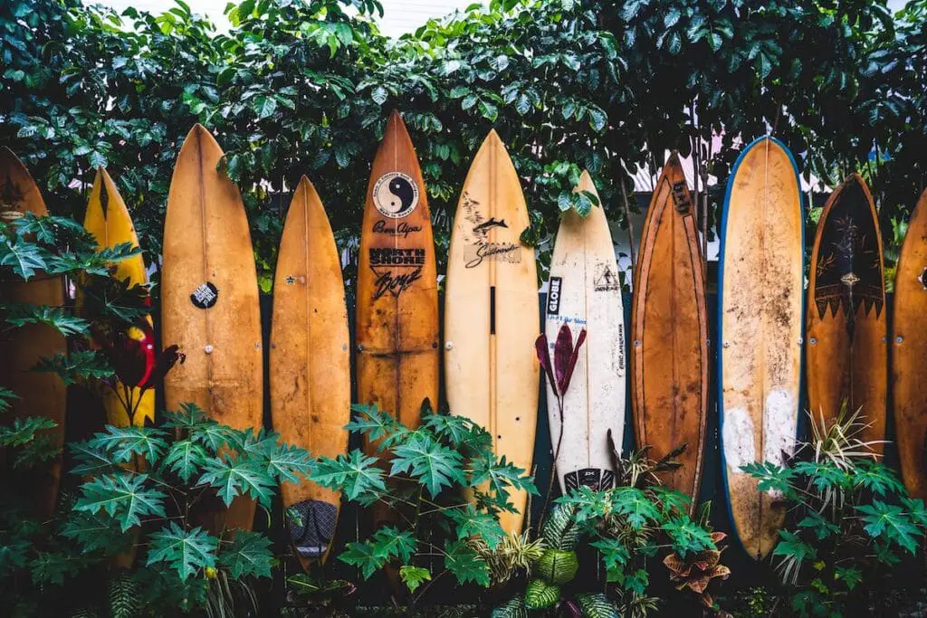 Surfboards in hawaii