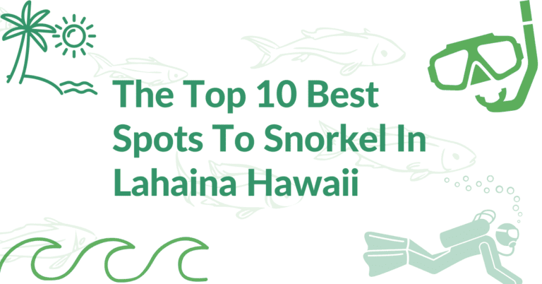 The Top 10 Best Spots To Snorkel In Lahaina Hawaii