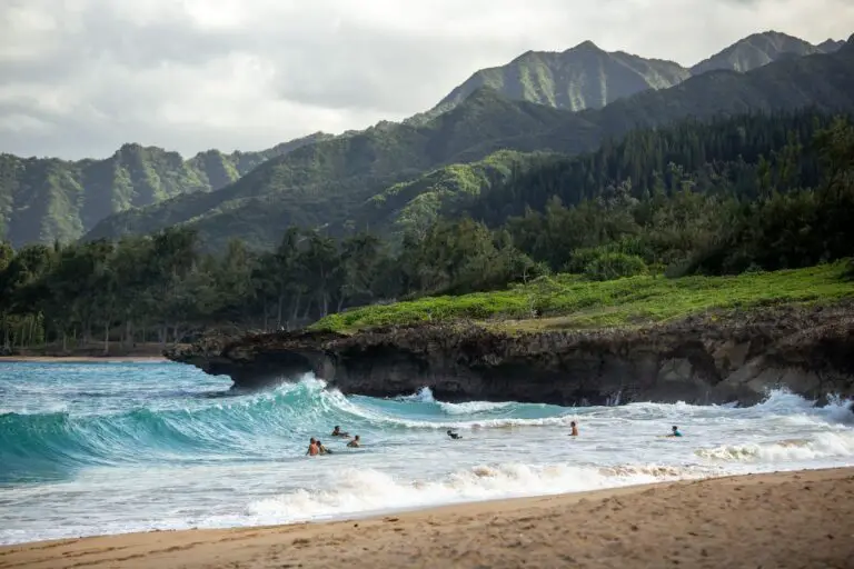 moving to hawaii A tropical beach scene with palm trees and a bright blue ocean