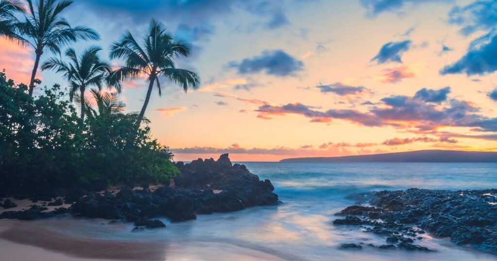 Tropical flowers and lei - Aloha Attire dress code guide 2026