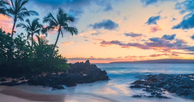 Tropical flowers and lei - Aloha Attire dress code guide 2026