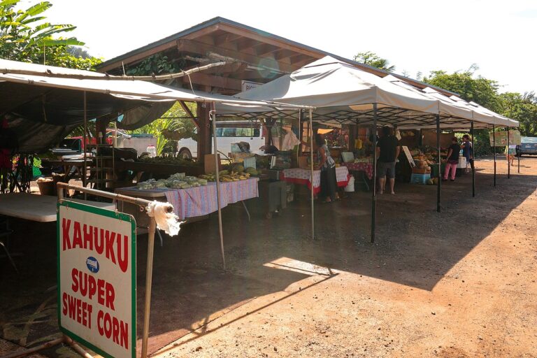 Farmers market on Oahu Hawaii with fresh local produce and vendors