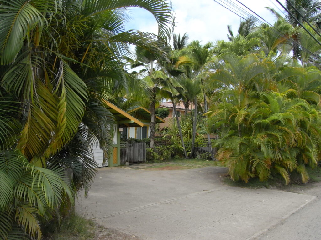Tropical residential home in Hawaii surrounded by palm trees - typical of Hawaiian housing construction