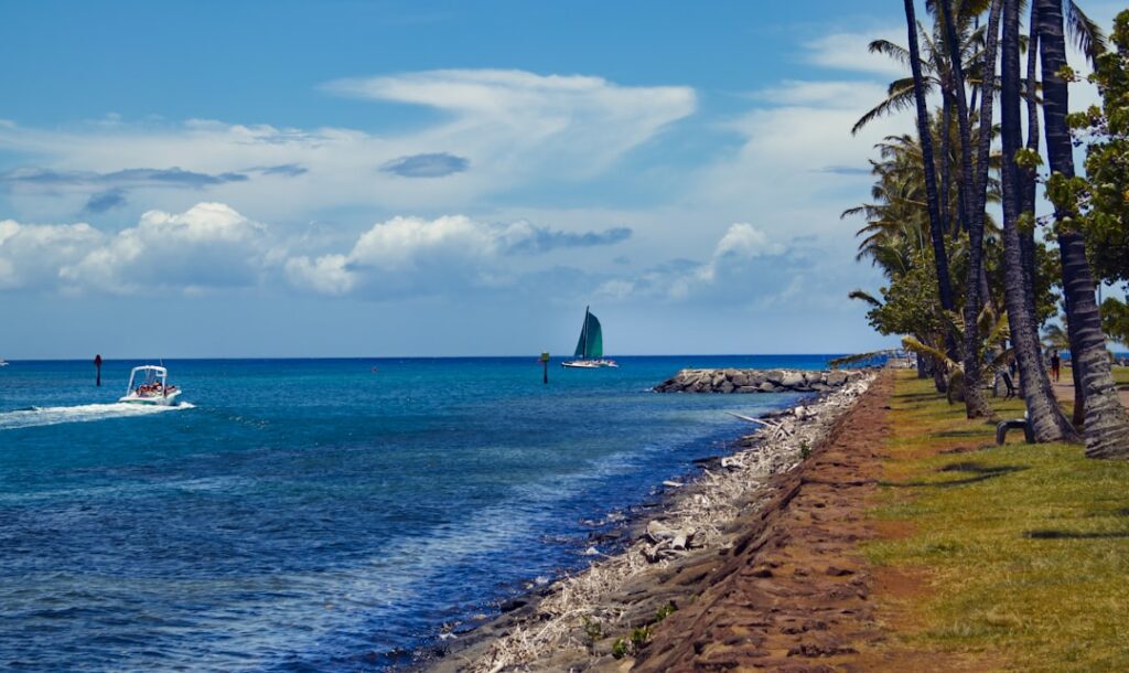 shipping a car to hawaii matson vs pasha — photo by @bullterriere on Unsplash