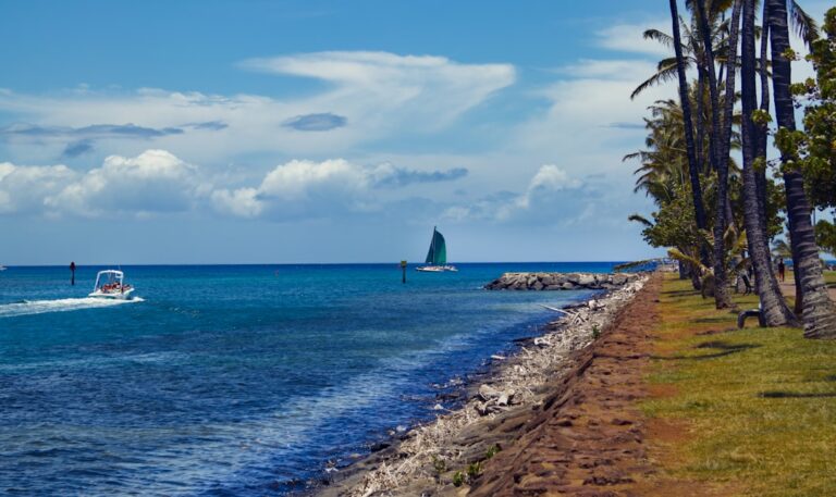 shipping a car to hawaii matson vs pasha — photo by @bullterriere on Unsplash