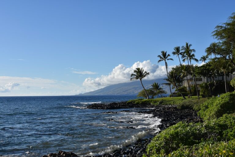 Maui Hawaii coastline — photo by @lrscarpino on Unsplash