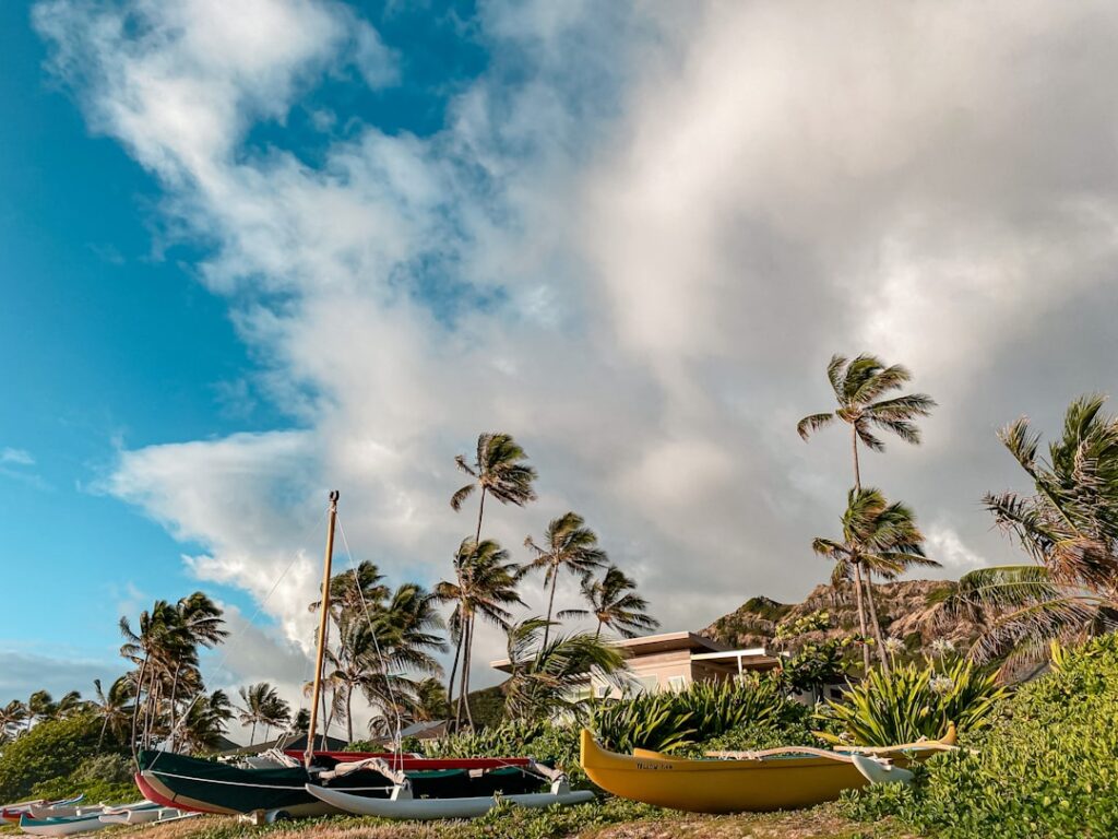 hawaii vog forecast — photo by @jujustrong on Unsplash