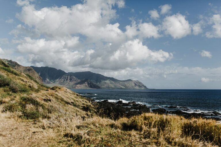 Hawaii TDI Disability Claim: DLIR DCD Benefit Application Path — photo by @hadassah_carlson on Unsplash