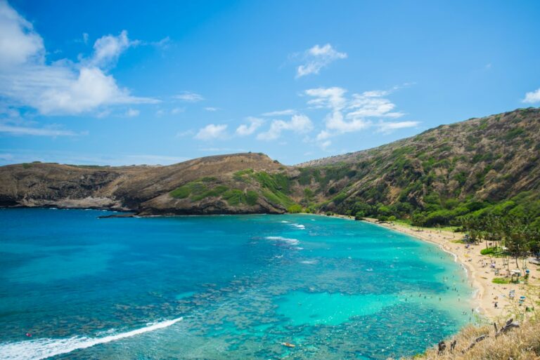 Kona-Side Snorkeling: Kealakekua, Two Step, and Kahaluu — photo by @cyclens_ on Unsplash