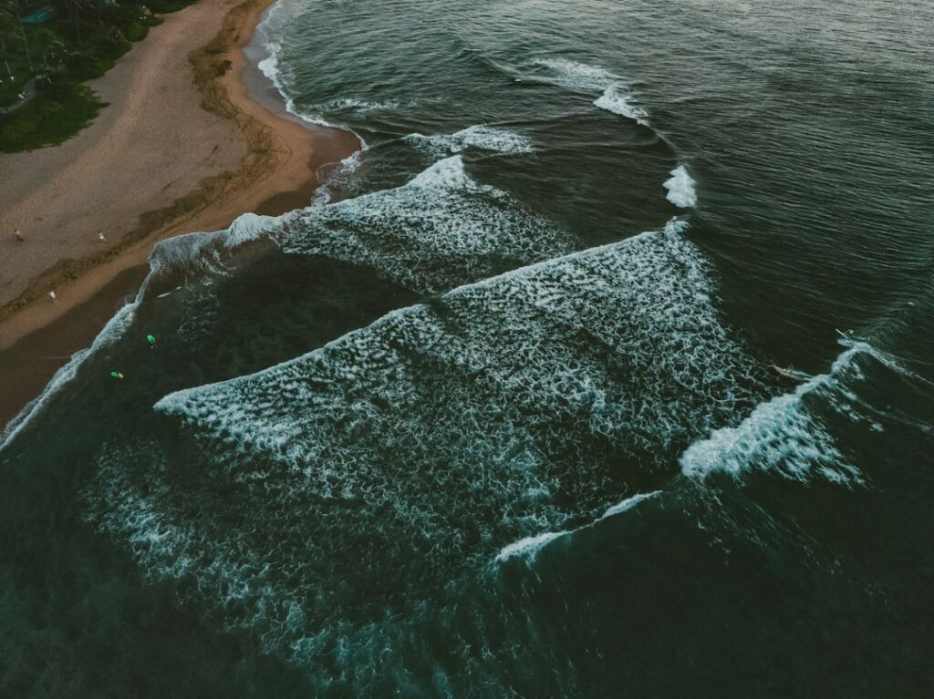 Mail Forwarding and Address Change When Moving to Hawaii — photo by @stephenbroome on Unsplash