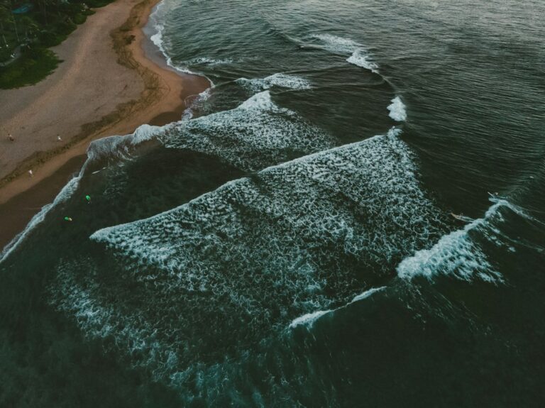 Mail Forwarding and Address Change When Moving to Hawaii — photo by @stephenbroome on Unsplash