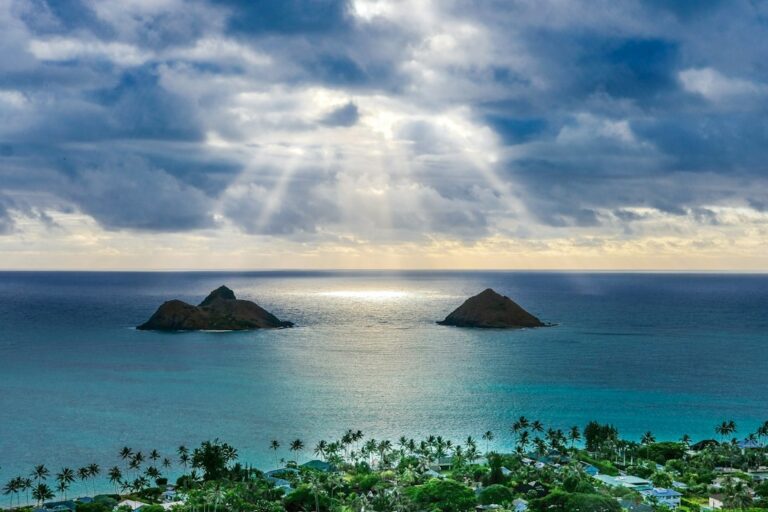 Hawaii Workers Comp IME: DLIR Disability Boards Independent Exam — photo by @amandabereckonedwith on Unsplash