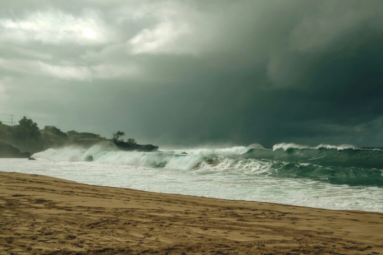 Hawaii Mediator Roster: HSCADR Certification Application — photo by @hectorjp on Unsplash