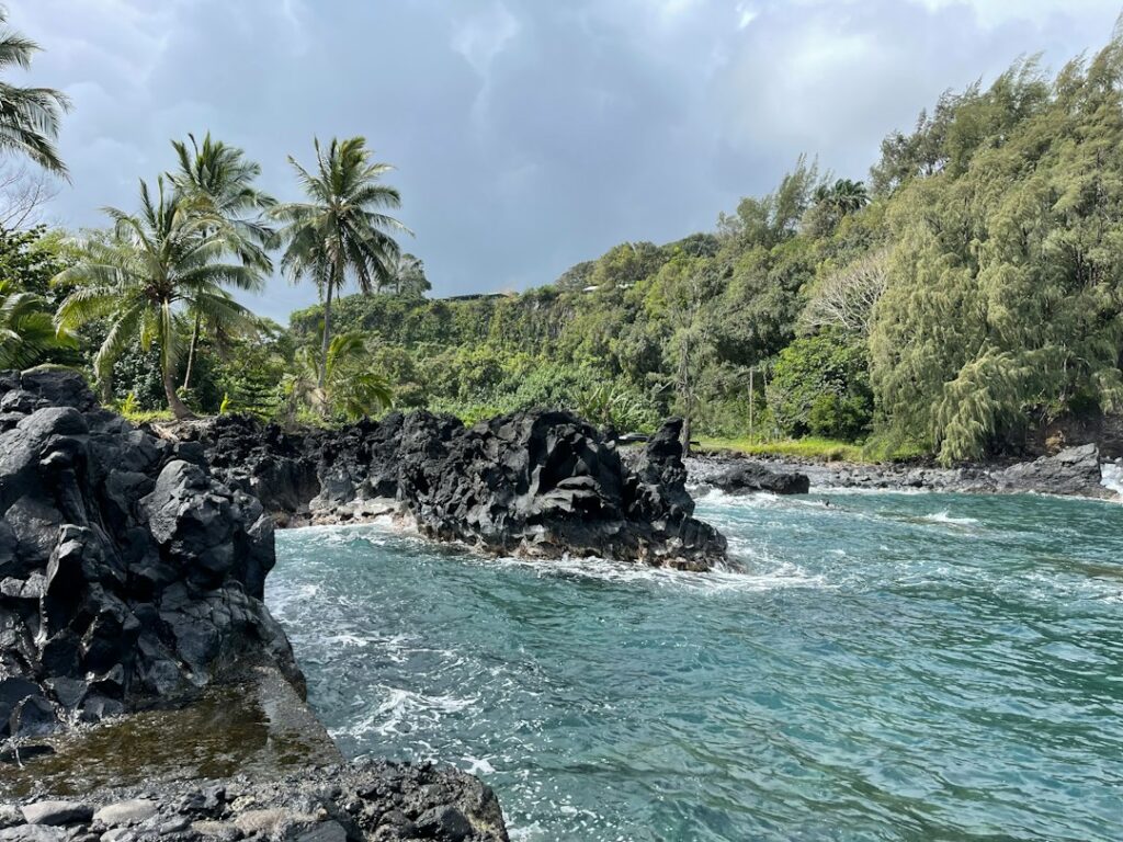 Hawaii Birth Certificate Request: DOH Vital Records Online and Walk-In Methods — photo by @jeremybroekman on Unsplash