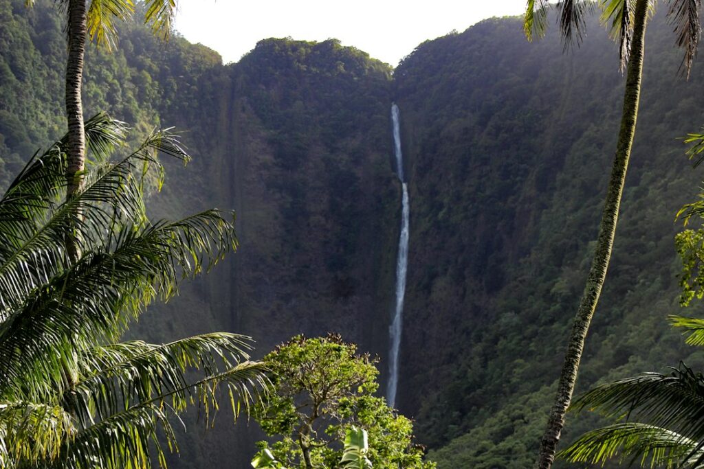 Hawaiian Pidgin vs the Hawaiian Language: What’s the Difference? — photo by @alamediahawaii on Unsplash