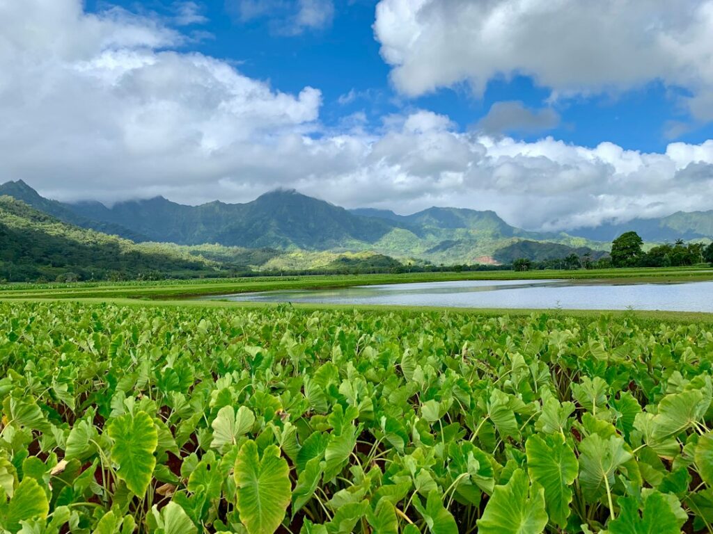 Polihua Lanai 4WD Shoreline: Garden of the Gods Onward Section — photo by @izhikh on Unsplash