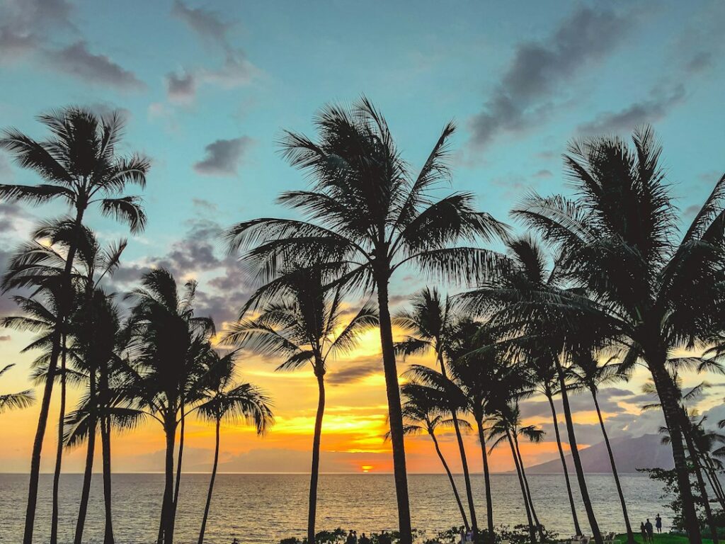 Honolua Marine Reserve Off-Peak: West Maui Swell Alternative — photo by @loveneora on Unsplash