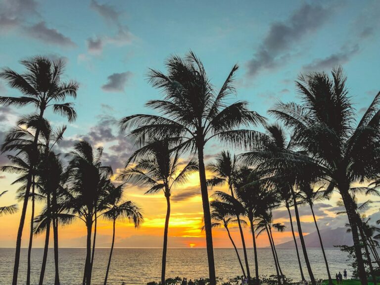 Honolua Marine Reserve Off-Peak: West Maui Swell Alternative — photo by @loveneora on Unsplash