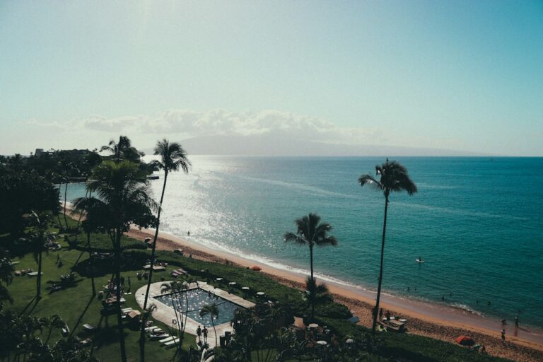 Chef (Executive / Head Chef) Salary in Hawaii (2026) — photo by @lo_sarno on Unsplash