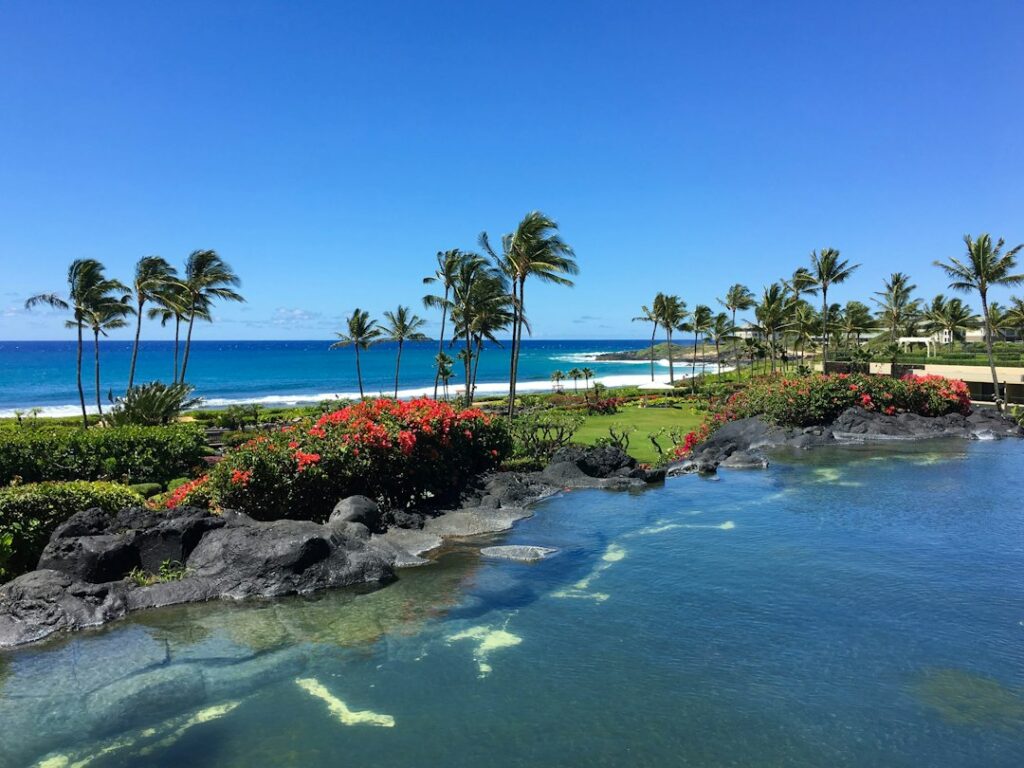 Kona, Kohala Coast, or Hilo: Where to Stay on Hawaii Island — photo by @florahon on Unsplash