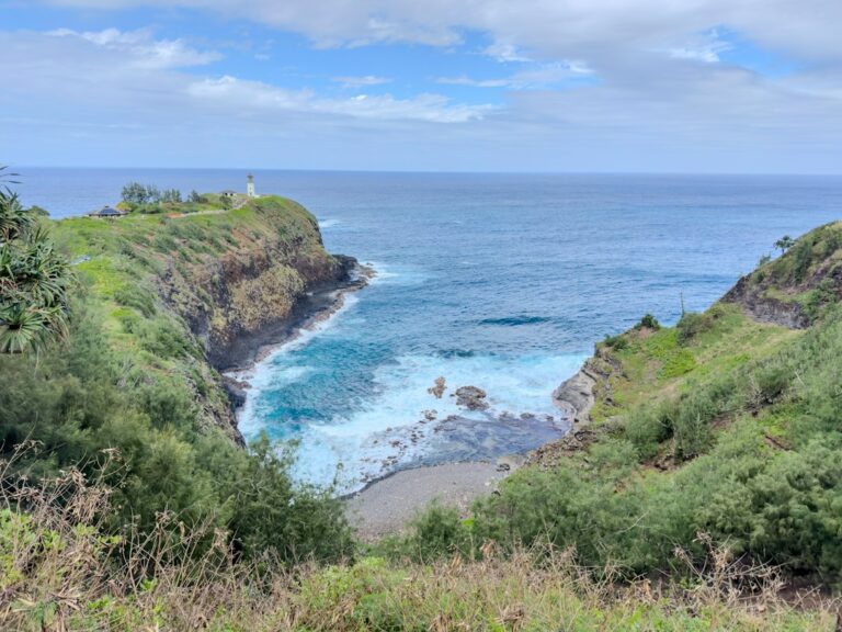 Hawaii Enterprise Zone: DBEDT EZ Partnership Exemption — photo by @shinzan on Unsplash