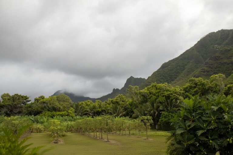 Onomea Bay Hakalau: Hamakua Botanical Gardens Circuit — photo by @bcmarble31 on Unsplash