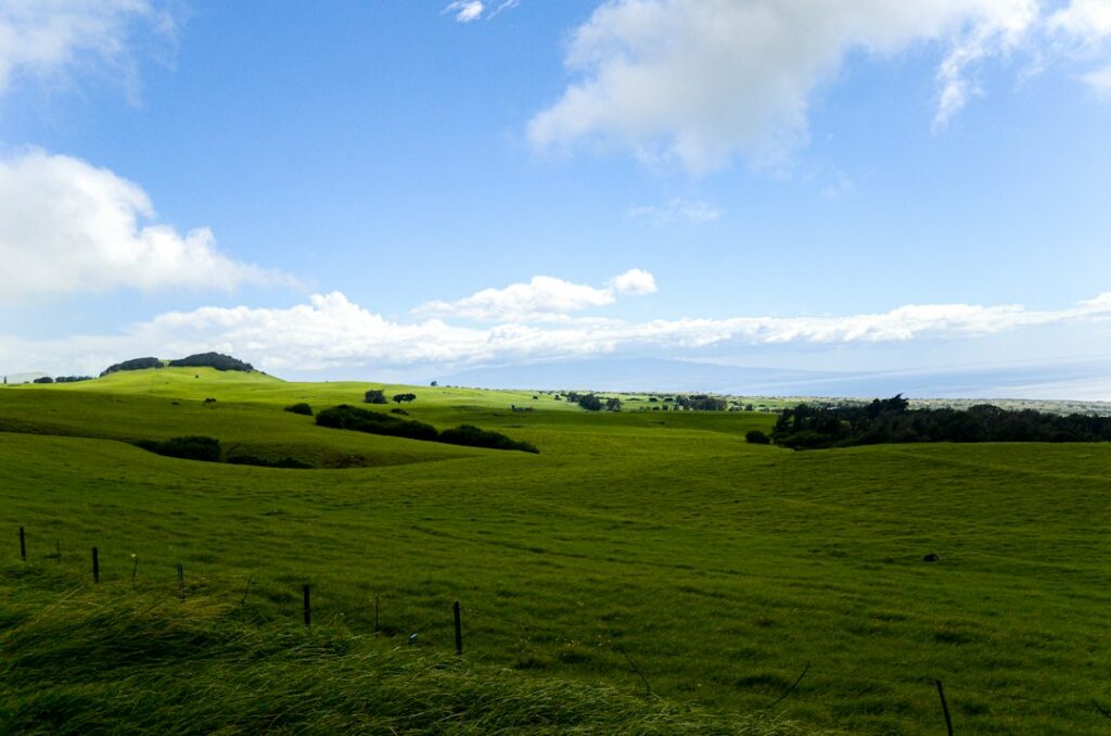 Hawaii Important Agricultural Lands: IAL Designation and Use Restrictions — photo by @sepoys on Unsplash