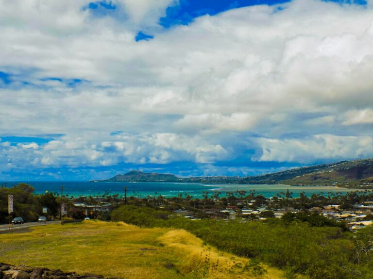 hawaii state income tax — photo by @cartermo_08 on Unsplash