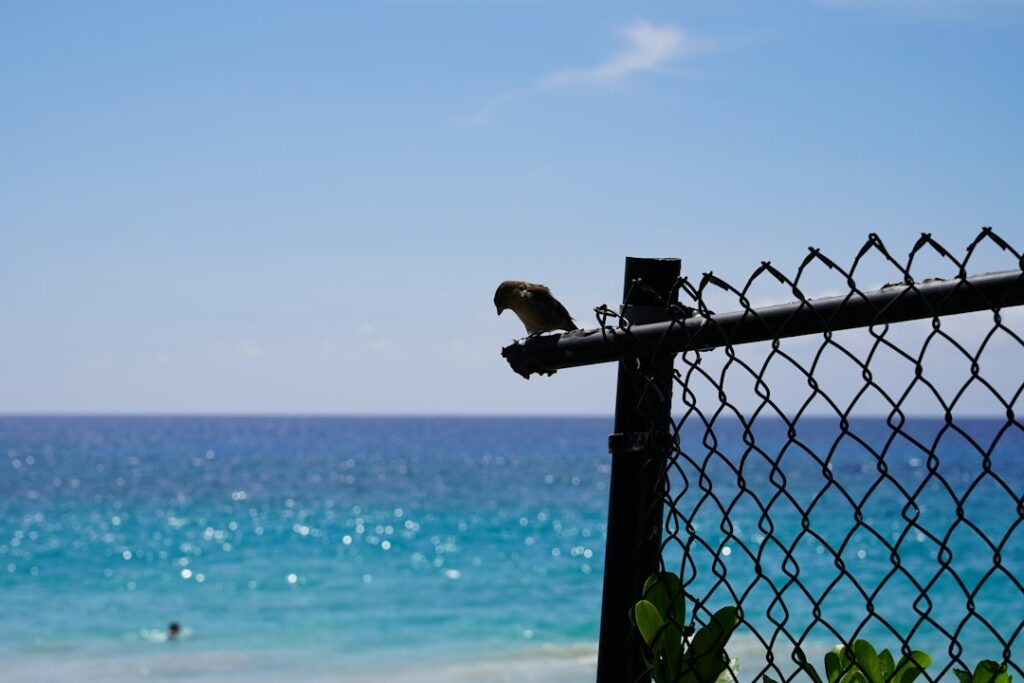 Hawaii Outdoor Worker Heat Illness Rule: HIOSH 12-60.1 Compliance — photo by @ch1678 on Unsplash