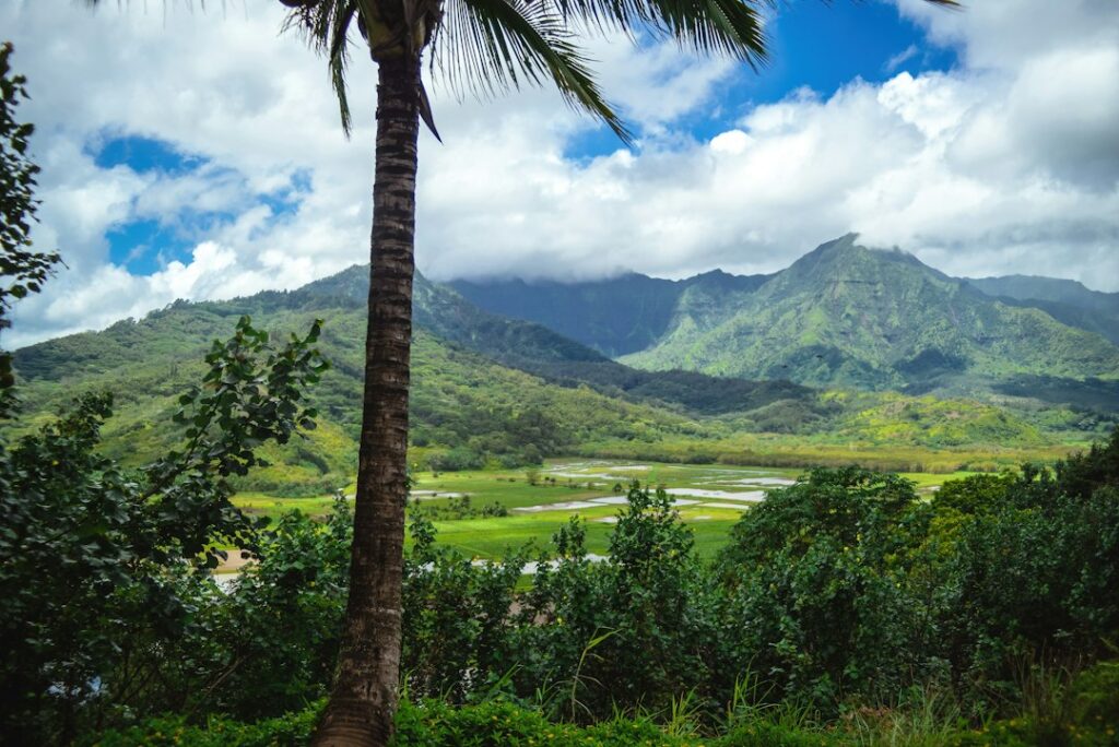 Cost of Living in Kailua-Kona, Hawaii (2026) — photo by @caitidh on Unsplash