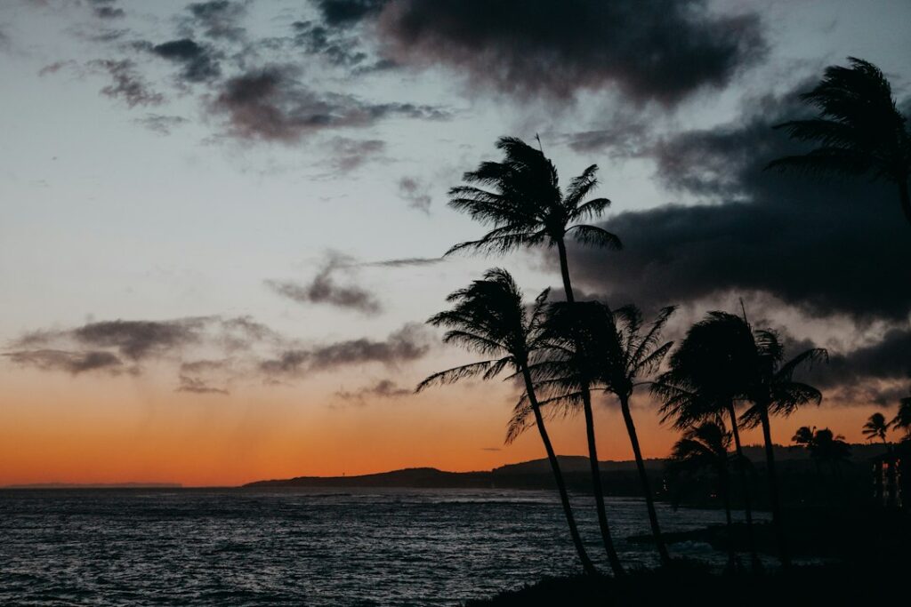 Waipio Valley Descent: Hamakua Cliff Grade Truck Requirement — photo by @trenthaaland on Unsplash
