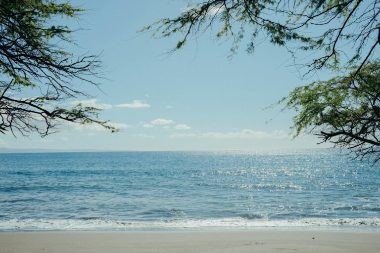 Road to Hana Back Road: Piilani Highway Return Loop Decisions — photo by @fujicamera on Unsplash