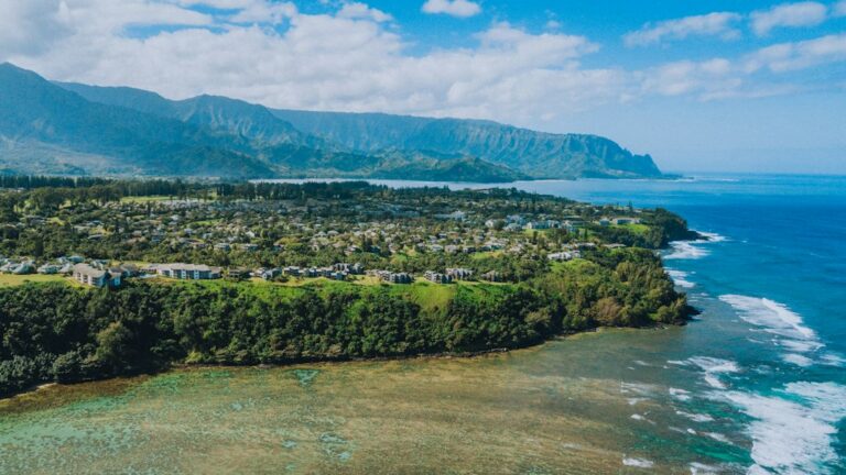 Best Banks and Credit Unions in Hawaii for New Residents — photo by @zapsizzle on Unsplash