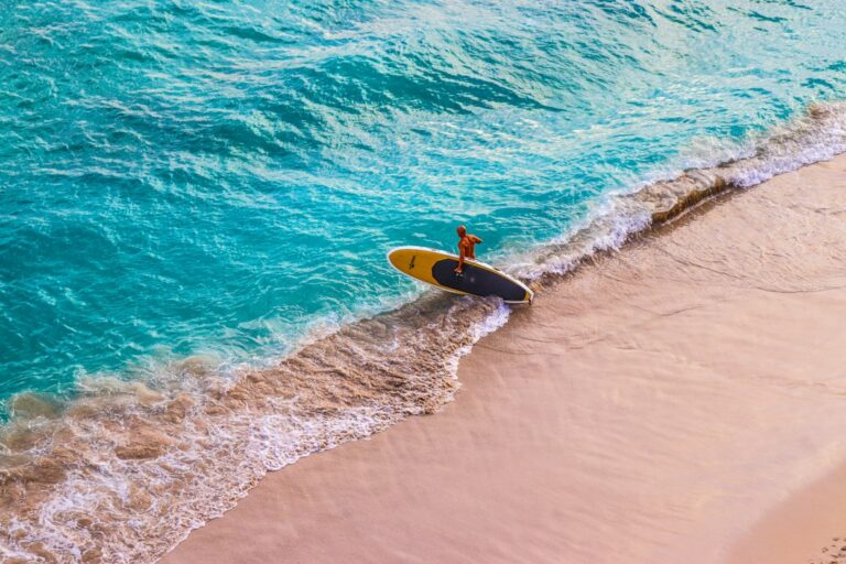 Hookipa Point Turtle Haul-Out: Maui Windsurf Cove Etiquette — photo by @nakul_in on Unsplash