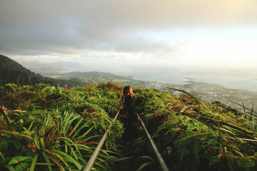 Manoa Falls Rainforest Oahu: Muddy Trail Footwear Selection — photo by @jeremybishop on Unsplash