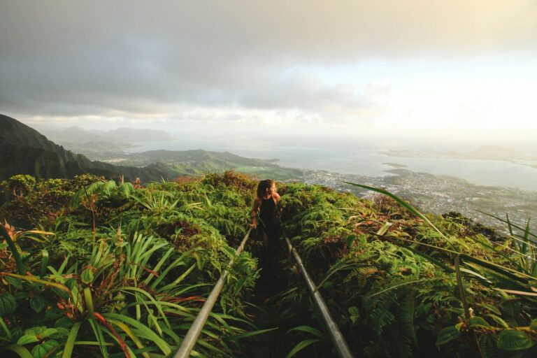 Manoa Falls Rainforest Oahu: Muddy Trail Footwear Selection — photo by @jeremybishop on Unsplash