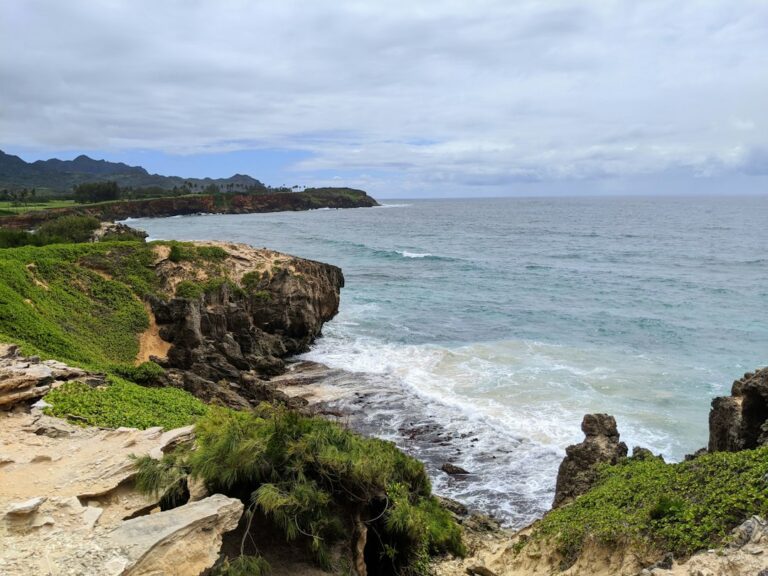 Hawaii ERS Pension Vesting: Tier 1, 2, and Hybrid Plan Eligibility — photo by @kfitzdor on Unsplash