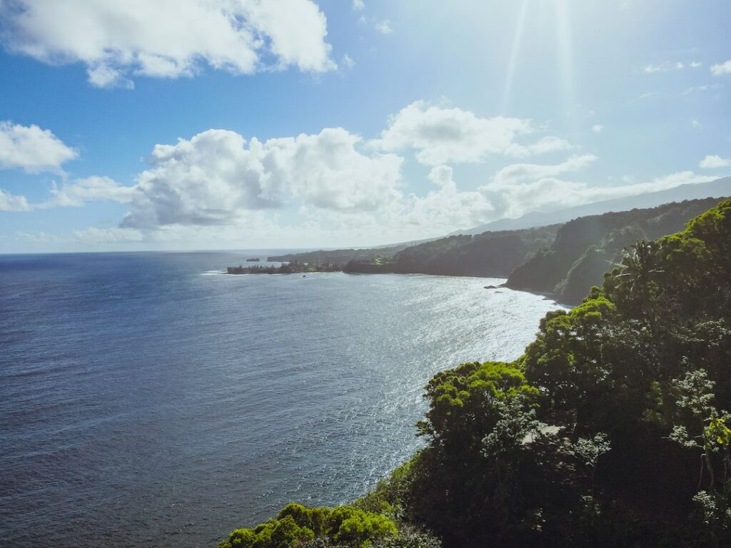 Hawaii Grocery Prices by Island: Oahu vs Maui vs Big Island vs Kauai — photo by @mrpatt on Unsplash