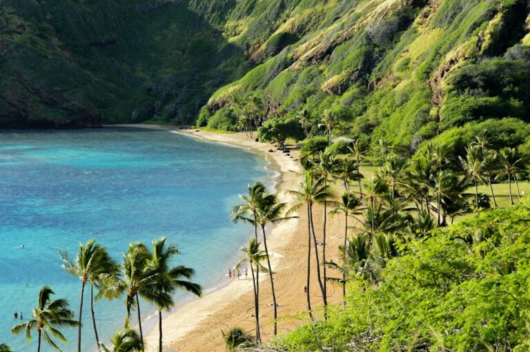 Authentic Aloha Shirts Honolulu: Tori Richard, Reyn Spooner, Sig Zane — photo by @mgrrdz on Unsplash