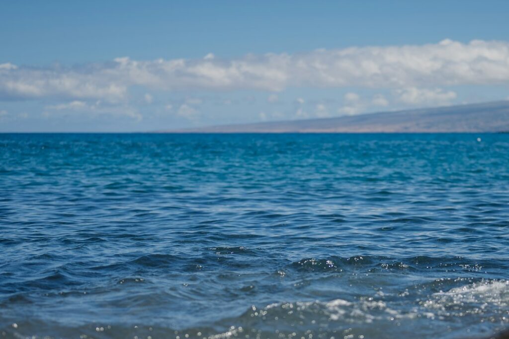 Wailea Maui Golf Resort Lodging: Blue Course Fairway Ocean Views — photo by @apsunde on Unsplash
