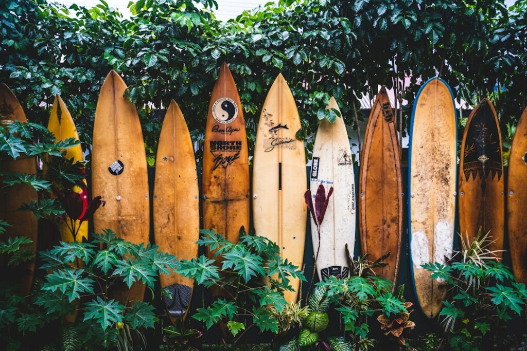 Best Things to Do on Kauai: Napali, Waimea Canyon, Hanalei Bay — photo by @tatonomusic on Unsplash