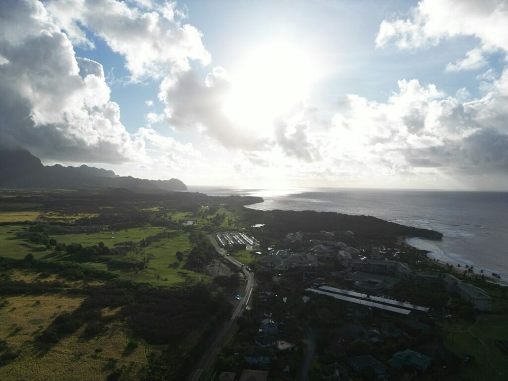 Hawaii Power of Attorney: HRS 551E Uniform Form Acceptance and Limits — photo by @loganvoss on Unsplash