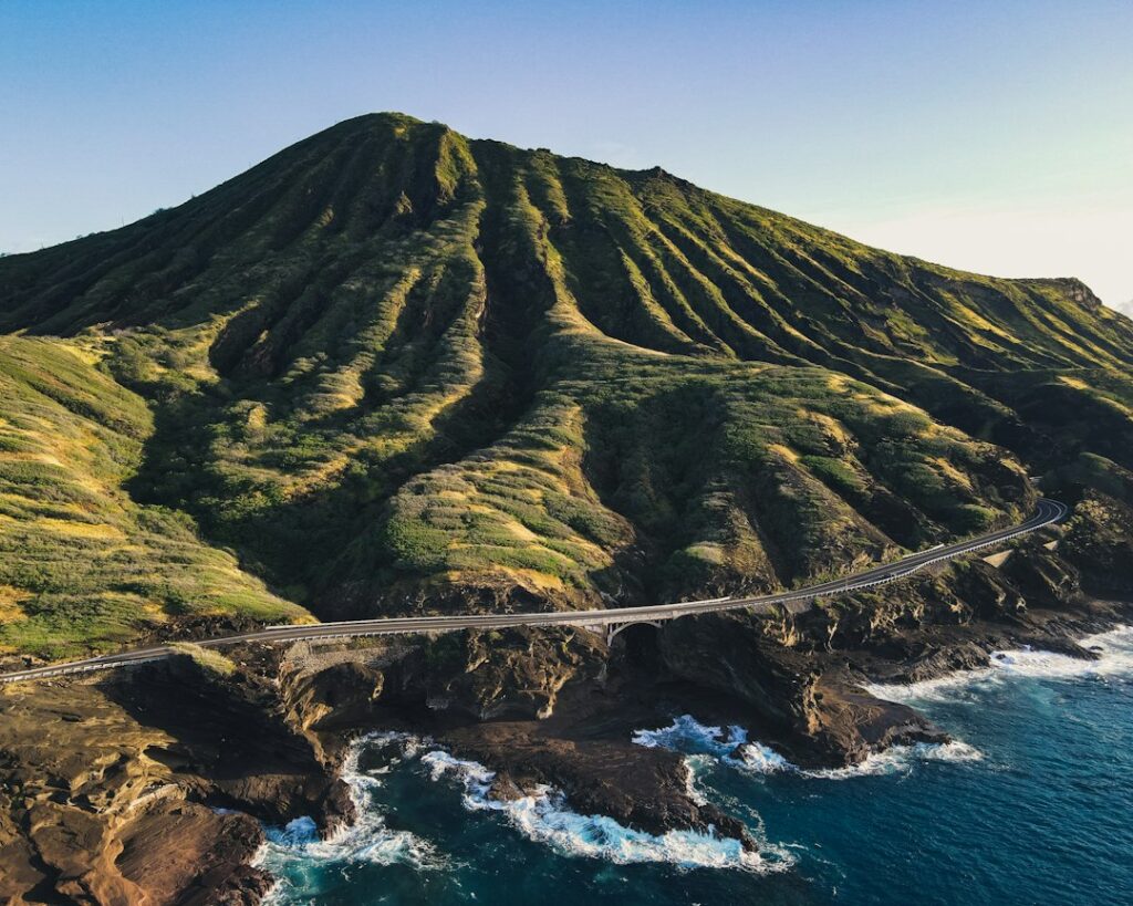 Puu Loa Petroglyph Plankwalk: Kilauea Coastal Interpretive — photo by @jko001 on Unsplash